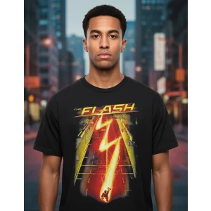 Remera Dc Flash