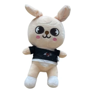 Peluche Kpop Starry Kids Skzoo Puppym Seungmin 20cm